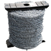 China Manufacturer of Double Strands Galvanized Barbed Wire for Fence (BW)